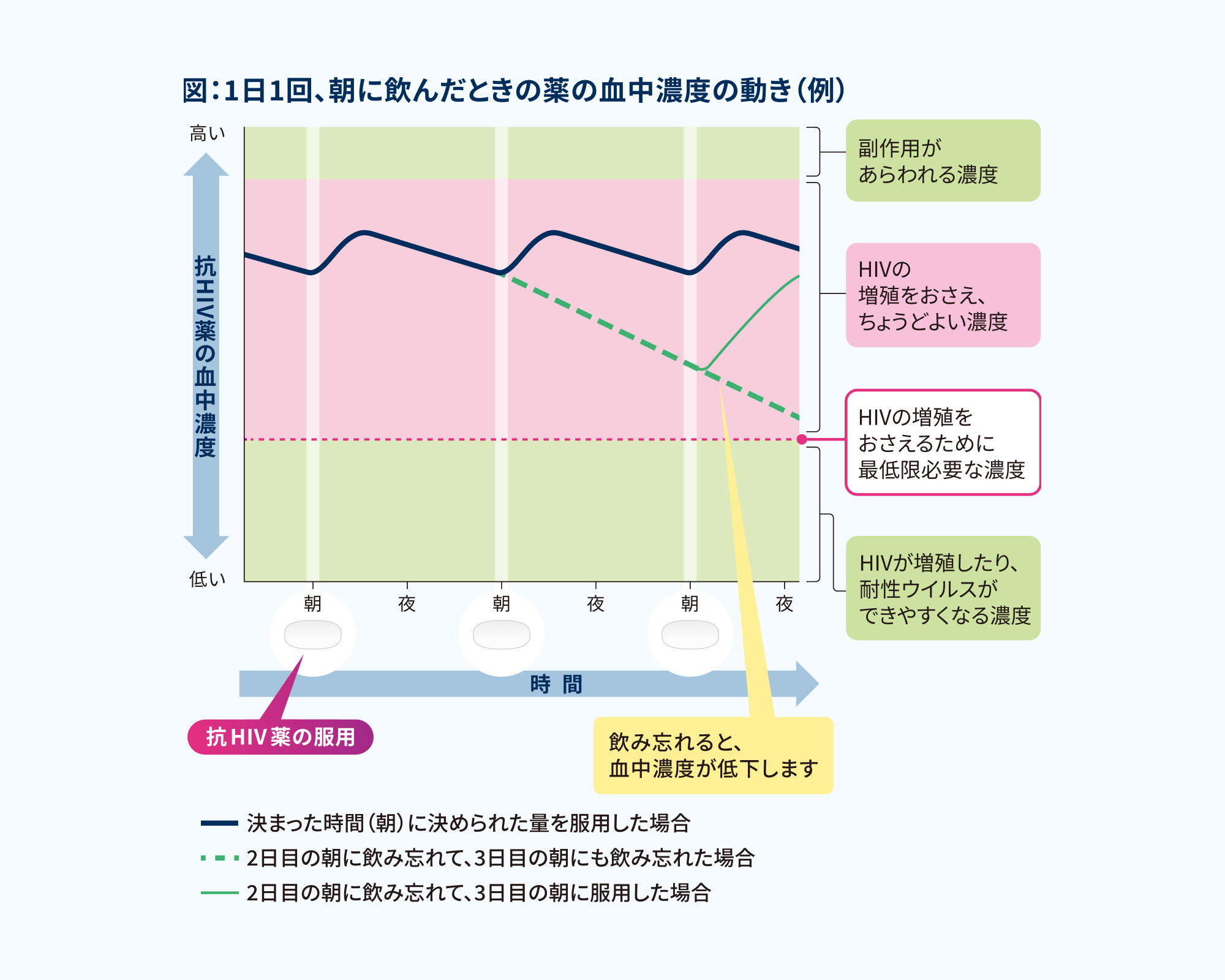 1日1回、朝に飲んだときの薬の血中濃度の動き（例）